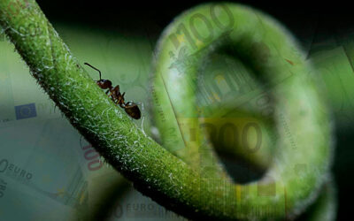 Gastos Hormiga, eres pobre porque quieres