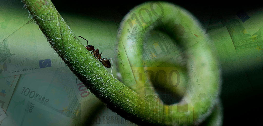 Gastos Hormiga, eres pobre porque quieres